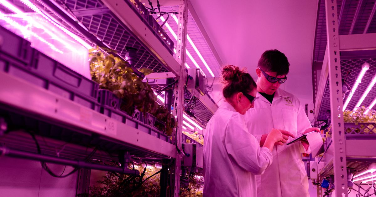 When the Grow Lights Go Out
